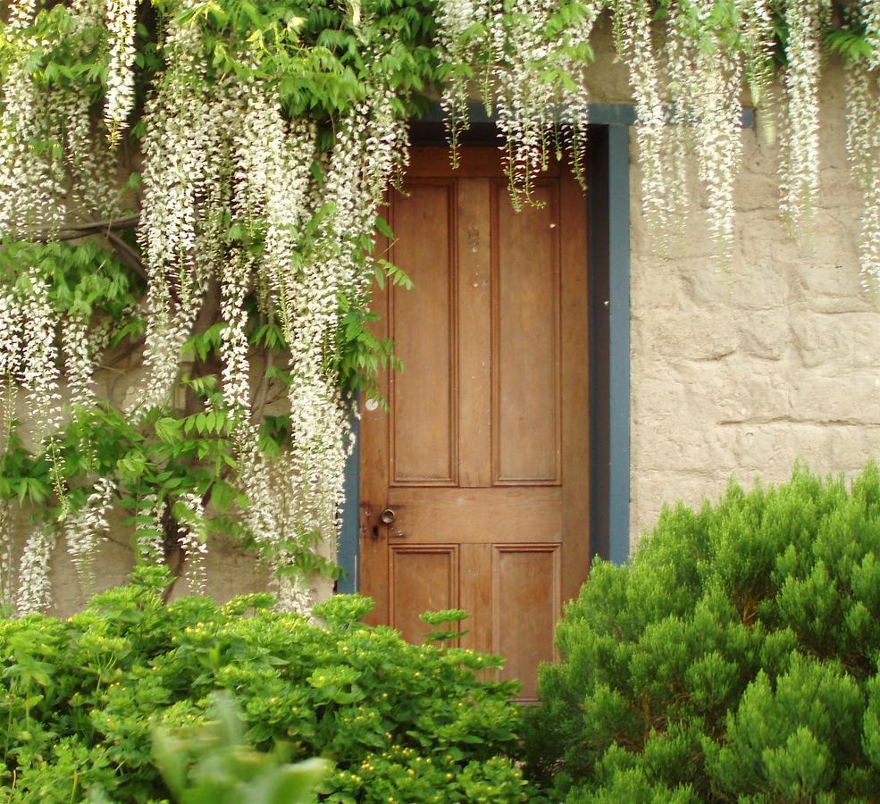 Muddy Creek Cutting Bed & Breakfast Lauder Exterior foto